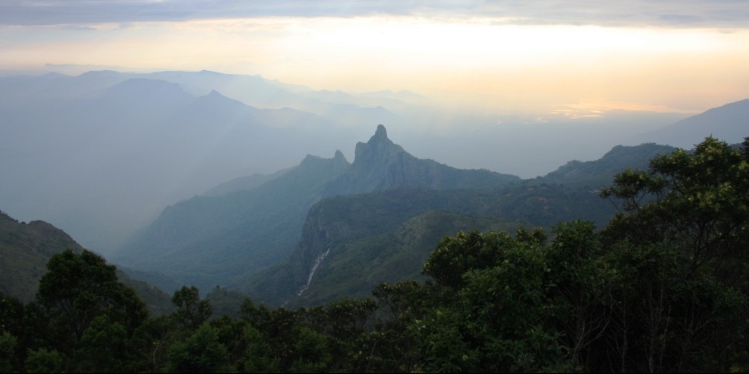 The Nilgiris or “Blue Mountains” of South India – Moneyness